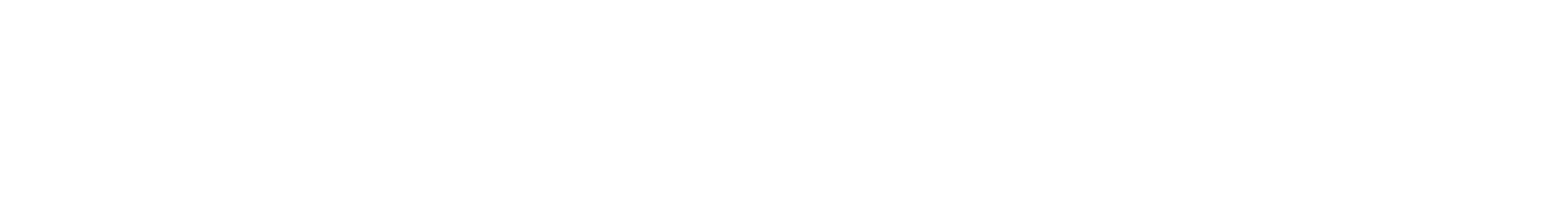 Schletter